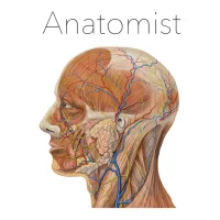 Anatomist - Jogo de Anatomia